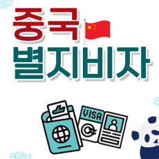 중국 별지 비자